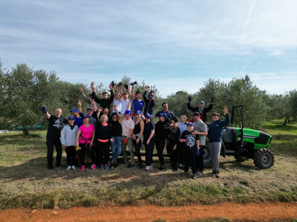 Chorvatské vily – Luxusní vily k pronájmu 3 Sklizeň oliv 2025 – týden, který vytváří příběhy